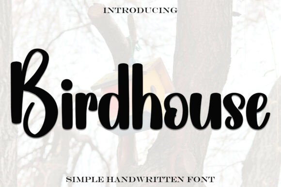 A Designer's Honest Review of the Birdhouse Handwritten Font